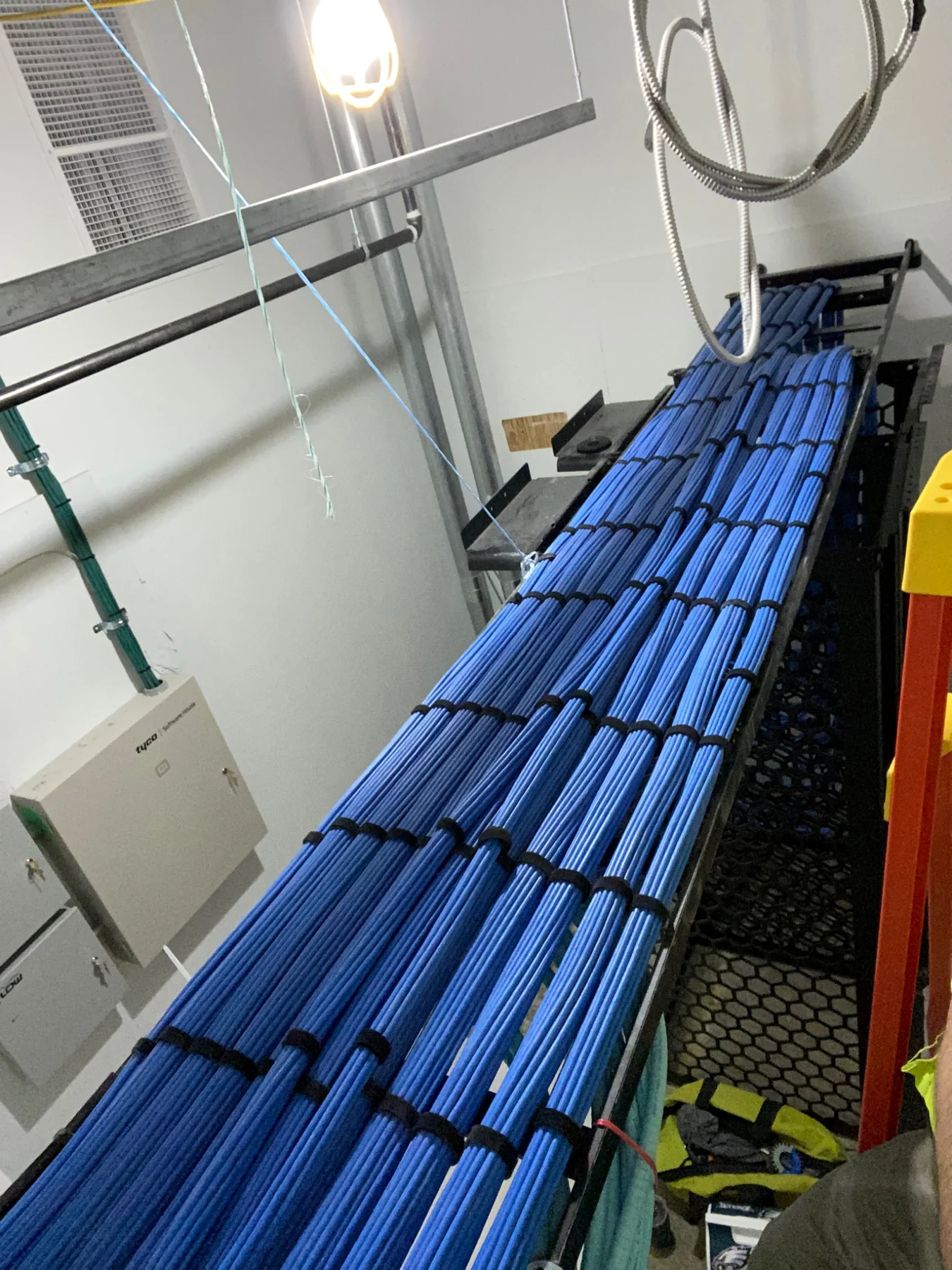 Organized structured cabling installed in a network rack